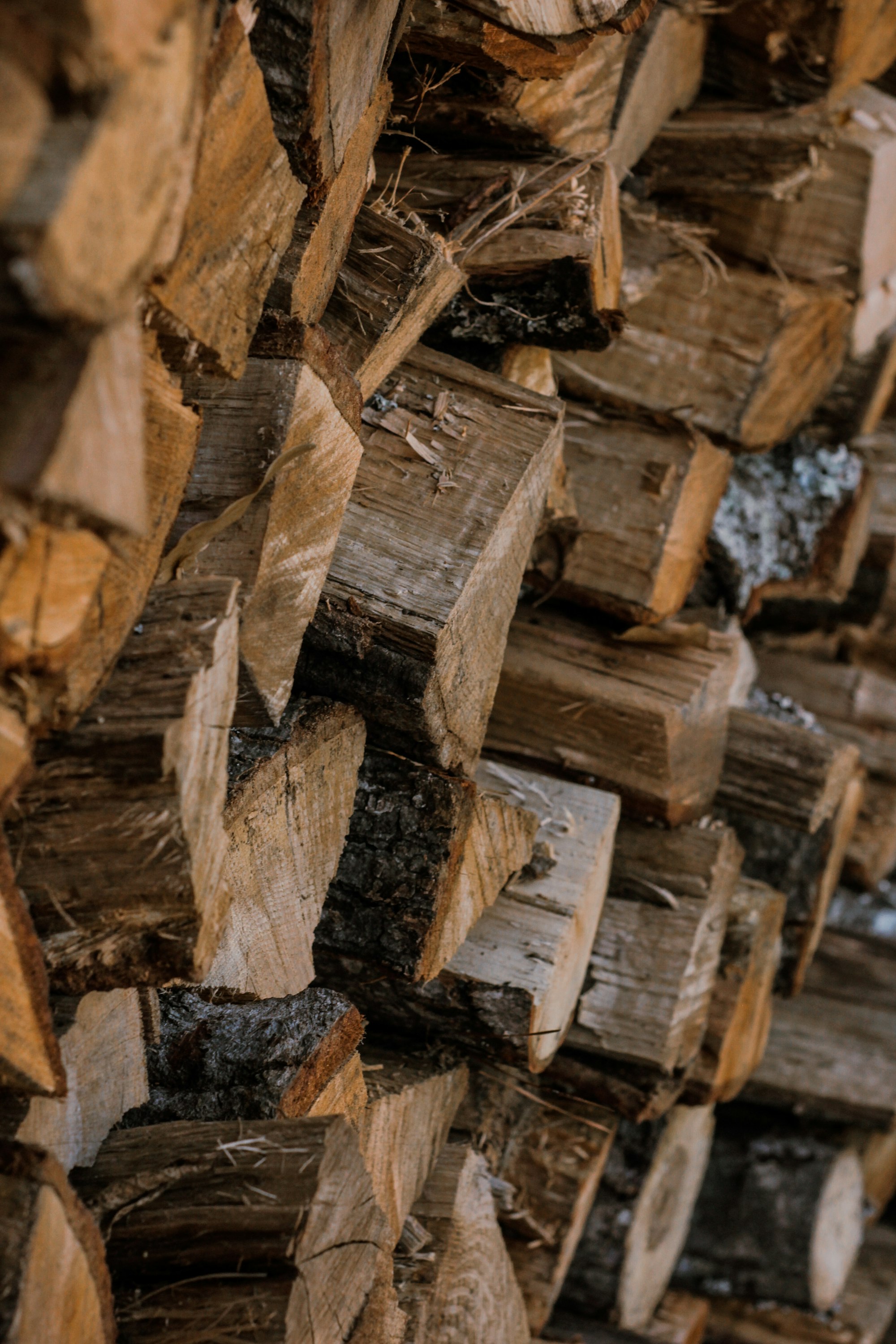 Stacked split firewood, warm amber tones